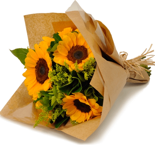 Trio de Girassol no Kraft